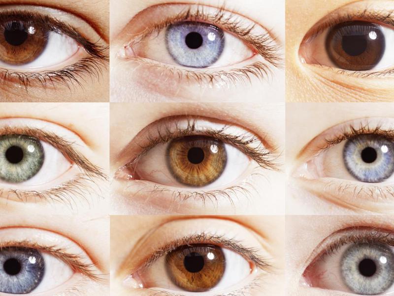 Правила выбора оправ очков в соответствии с цветом глаз